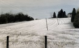 Painting, Over the Fields, Victor Roschkov